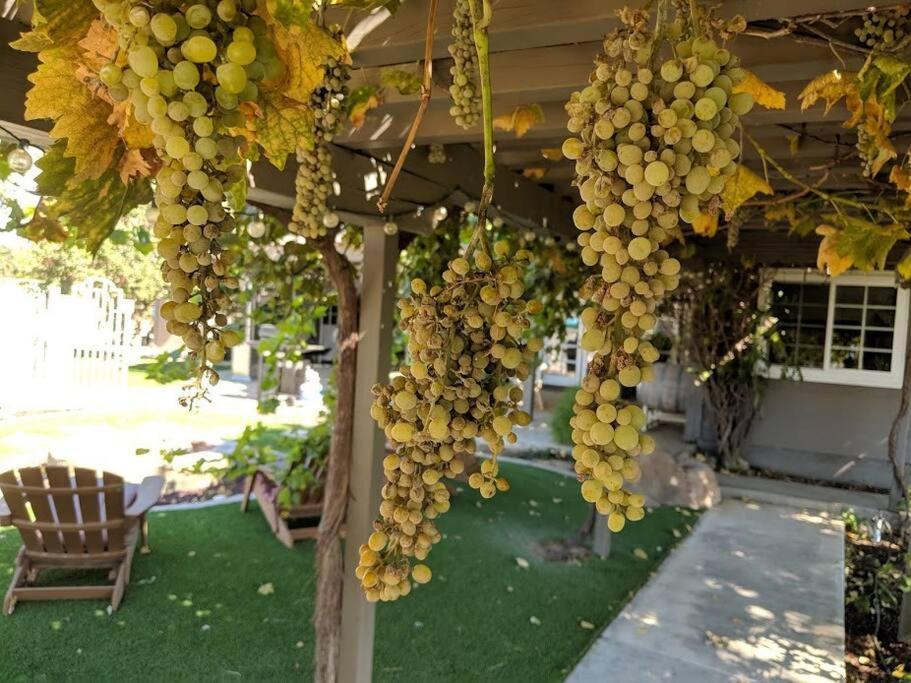 The Vineyard Farmhouse Villa El Paso de Robles Buitenkant foto
