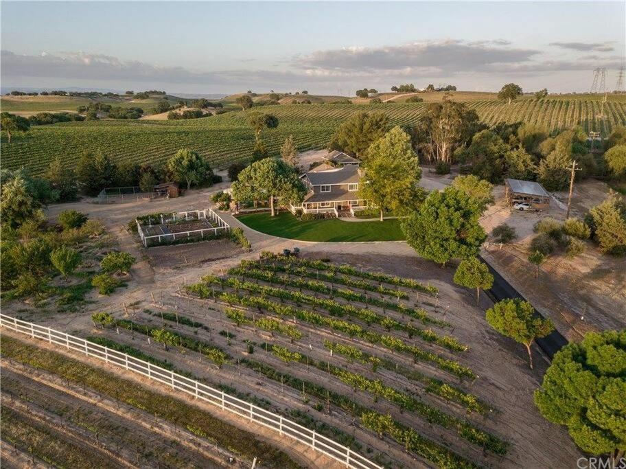 The Vineyard Farmhouse Villa El Paso de Robles Buitenkant foto