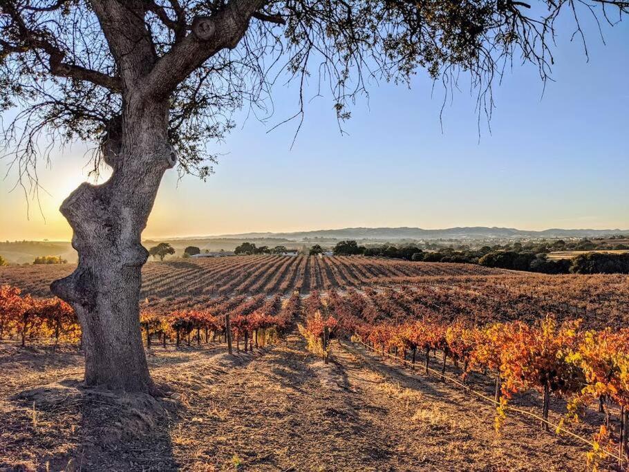 The Vineyard Farmhouse Villa El Paso de Robles Buitenkant foto