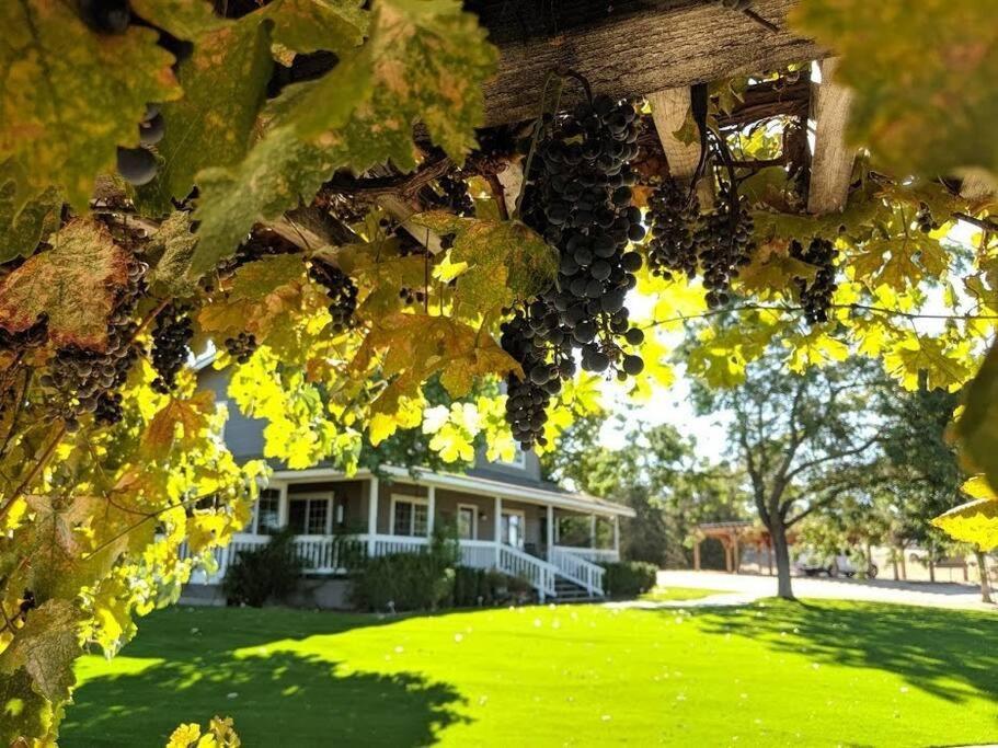 The Vineyard Farmhouse Villa El Paso de Robles Buitenkant foto